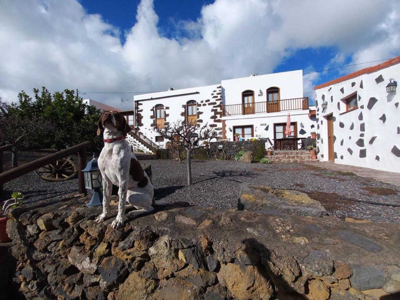 Las Casas del Abuelito Julián&la Abuela Leonor Isora Esterno foto